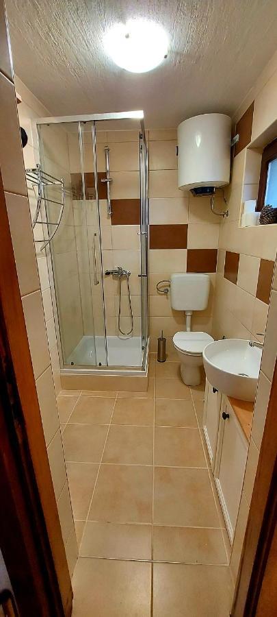 Studio Apartman Buteo Jastrebarsko Exterior photo