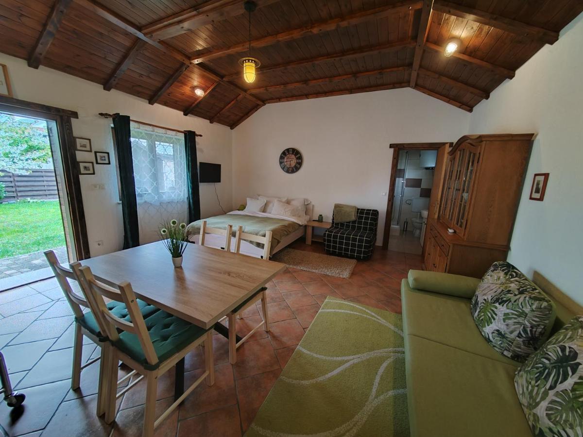 Studio Apartman Buteo Jastrebarsko Exterior photo