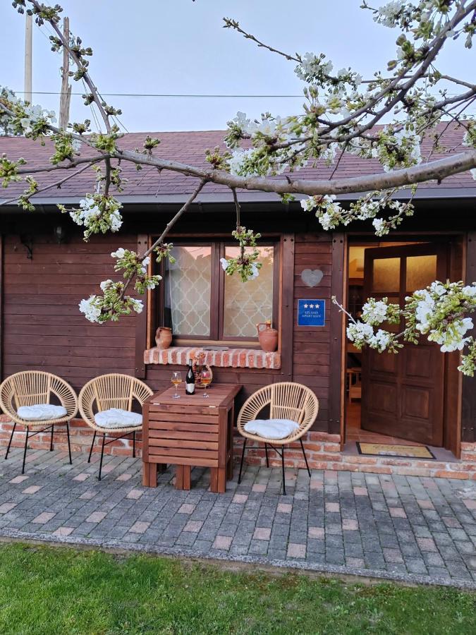 Studio Apartman Buteo Jastrebarsko Exterior photo