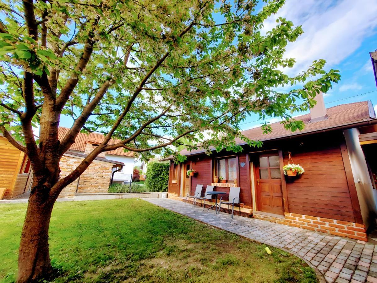 Studio Apartman Buteo Jastrebarsko Exterior photo